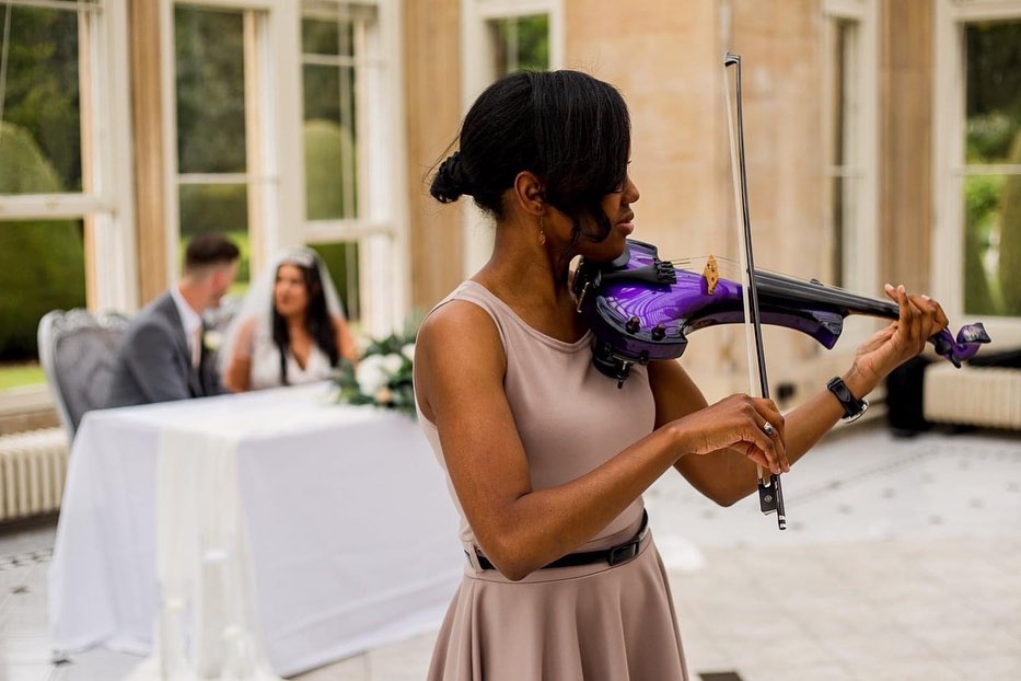 Solo wedding violinist purple violin